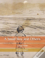 Capa do artigo A Small Boy And Others