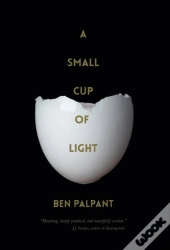 A Small Cup Of Light