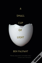 Capa do artigo A Small Cup Of Light