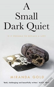 Capa do artigo A Small Dark Quiet