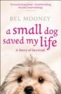 A Small Dog Saved My Life - Preview