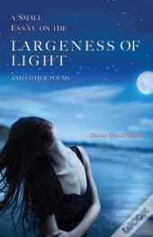 A Small Essay On The Largeness Of Light And Other Poems