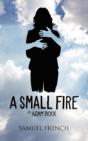 A Small Fire - Preview