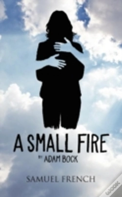 Capa do artigo A Small Fire