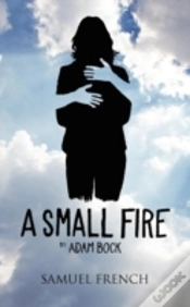 Capa do artigo A Small Fire