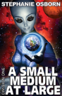 A Small Medium At Large - Preview