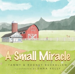 Capa do artigo A Small Miracle