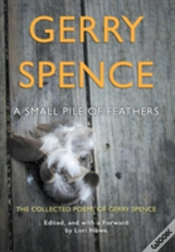 Capa do artigo A Small Pile Of Feathers