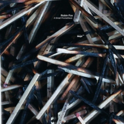 Capa do artigo A Small Prometheus - Vinil