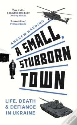 Capa do artigo A Small, Stubborn Town