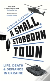 Capa do artigo A Small, Stubborn Town
