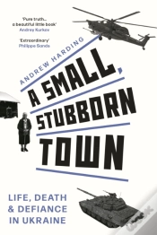 Capa do artigo A Small, Stubborn Town