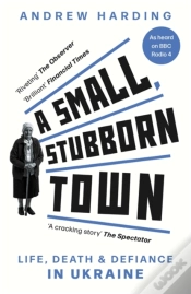 Capa do artigo A Small, Stubborn Town