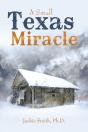 A Small Texas Miracle - Preview