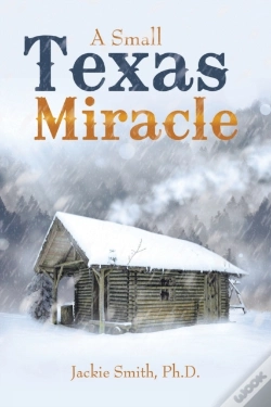 Capa do artigo A Small Texas Miracle
