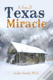 Capa do artigo A Small Texas Miracle