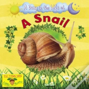Capa do artigo A Snail