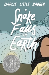 Capa do artigo A Snake Falls To Earth