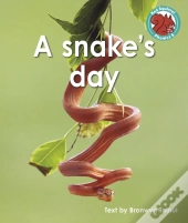 A Snake'S Day