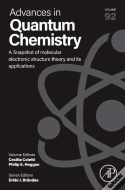 Capa do artigo A Snapshot Of Molecular Electronic Structure Theory And Its Applications