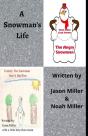 A Snowman'S Life - Preview