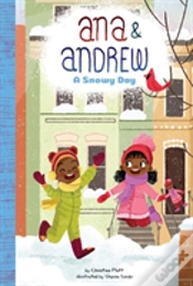 Capa do artigo A Snowy Day