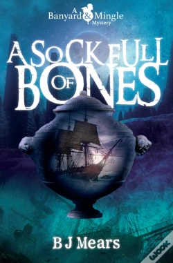 Capa do artigo A Sock Full Of Bones