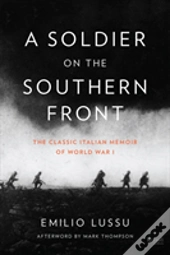 A Soldier On The Southern Front