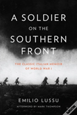 Capa do artigo A Soldier On The Southern Front