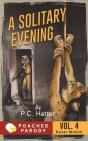 A Solitary Evening - Preview