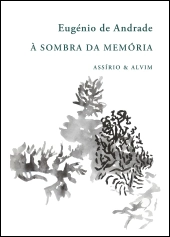 À Sombra da Memória