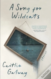 Capa do artigo A Song For Wildcats