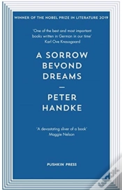 Capa do artigo A Sorrow Beyond Dreams