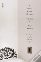 Capa do artigo A Sorrow Beyond Dreams