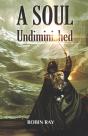 A Soul Undiminished - Preview