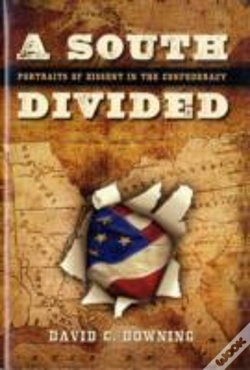 Capa do artigo A South Divided
