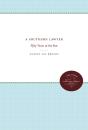 A Southern Lawyer - Preview