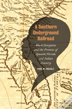 Capa do artigo A Southern Underground Railroad