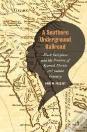 Capa do artigo A Southern Underground Railroad