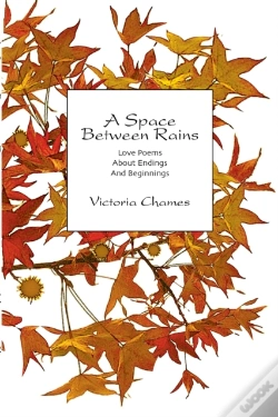 Capa do artigo A Space Between Rains
