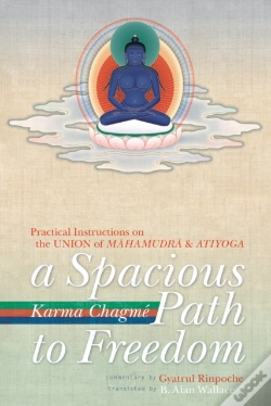 Capa do artigo A Spacious Path To Freedom