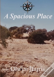 Capa do artigo A Spacious Place