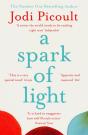 A Spark Of Light - Preview