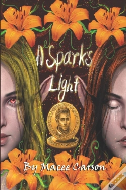 Capa do artigo A Spark'S Light