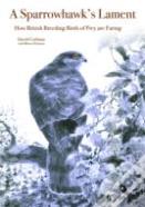 A Sparrowhawk'S Lament