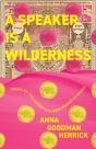 A Speaker Is A Wilderness - Preview