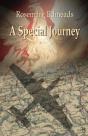 A Special Journey - Preview