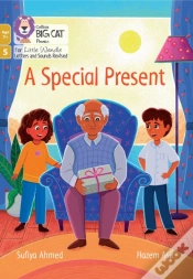 Capa do artigo A Special Present
