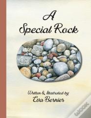 A Special Rock