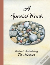 A Special Rock